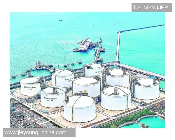 数据分析：LNG的技术表现