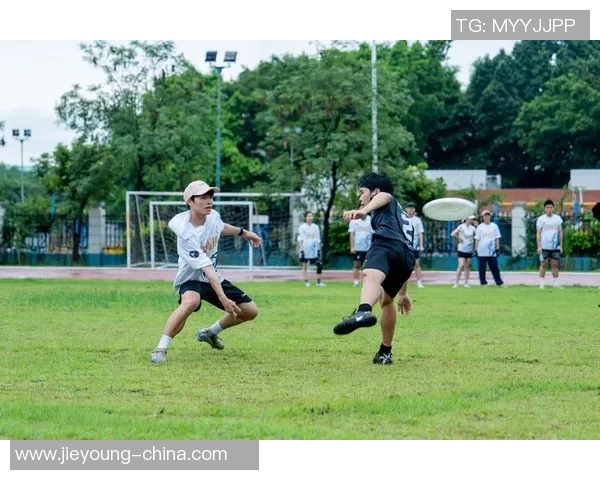 飞盘巨献:探秘深圳飞盘队的团队协作